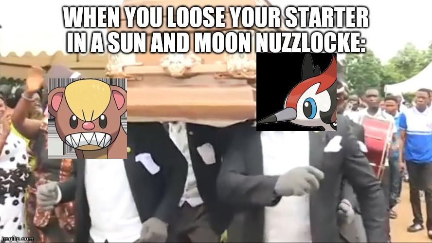 Piki goose | WHEN YOU LOOSE YOUR STARTER IN A SUN AND MOON NUZZLOCKE: | image tagged in coffin dance | made w/ Imgflip meme maker