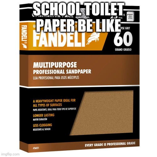 sandpaper | SCHOOL TOILET PAPER BE LIKE | image tagged in sandpaper | made w/ Imgflip meme maker