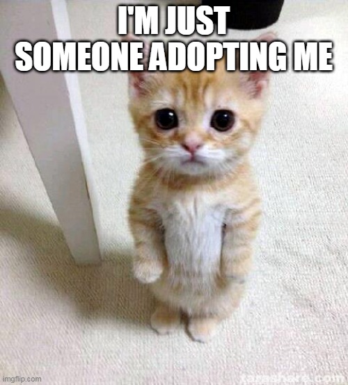 Cute Cat | I'M JUST SOMEONE ADOPTING ME | image tagged in memes,cute cat | made w/ Imgflip meme maker