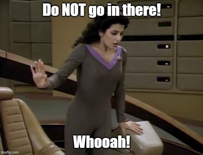 Deanna Toi Star Trek | Do NOT go in there! Whooah! | image tagged in deanna toi star trek | made w/ Imgflip meme maker