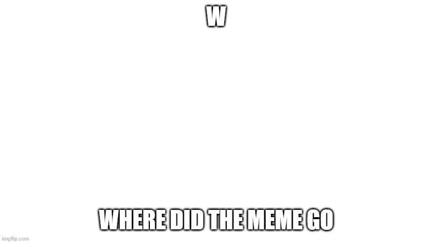 where is she ?? | W; WHERE DID THE MEME GO | image tagged in meme | made w/ Imgflip meme maker