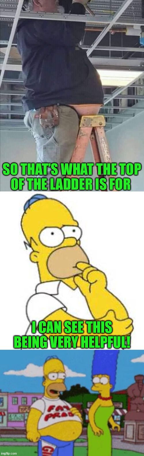 Ladder Tip of the Day |  I CAN SEE THIS BEING VERY HELPFUL! | image tagged in homer simpson hmmmm,memes,fat people,first world problems,what if i told you,what a terrible day to have eyes | made w/ Imgflip meme maker