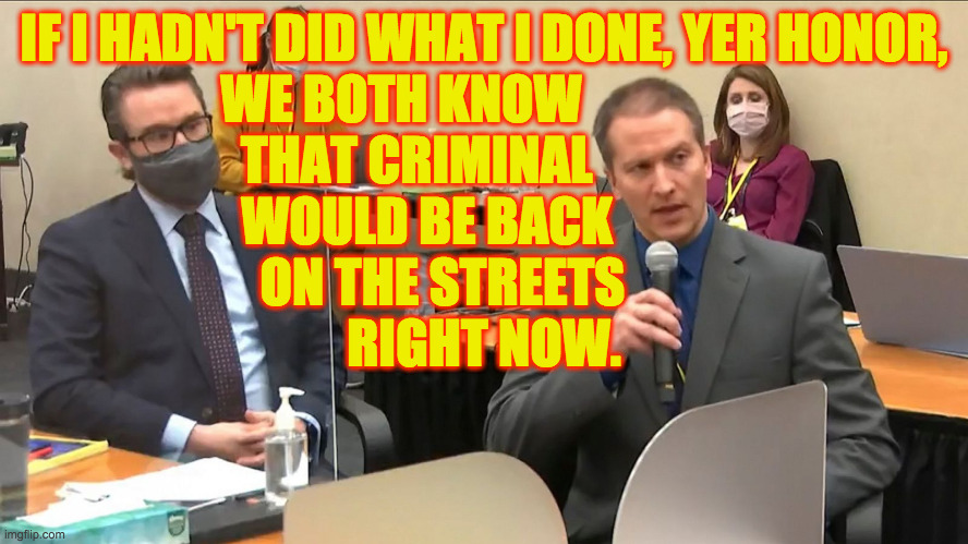IF I HADN'T DID WHAT I DONE, YER HONOR,
WE BOTH KNOW                
THAT CRIMINAL             
WOULD BE BACK           
ON THE STREETS      | made w/ Imgflip meme maker