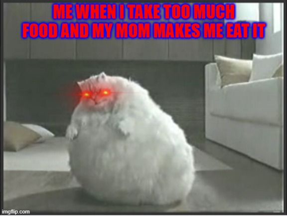 Fat cat | ME WHEN I TAKE TOO MUCH FOOD AND MY MOM MAKES ME EAT IT | image tagged in fat cat,memes | made w/ Imgflip meme maker