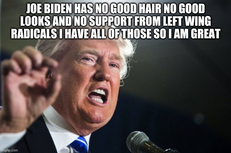 Trump is better or so he thinks | JOE BIDEN HAS NO GOOD HAIR NO GOOD LOOKS AND NO SUPPORT FROM LEFT WING RADICALS I HAVE ALL OF THOSE SO I AM GREAT | image tagged in donald trump,joe biden,biden | made w/ Imgflip meme maker