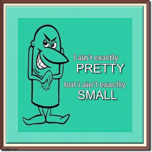 IF YOU SQUINT YOUR EYE'S, ALL YOU SEE IS "PRETTY SMALL". LOL. | image tagged in i aint exactly pretty,i aint exactly small | made w/ Imgflip meme maker