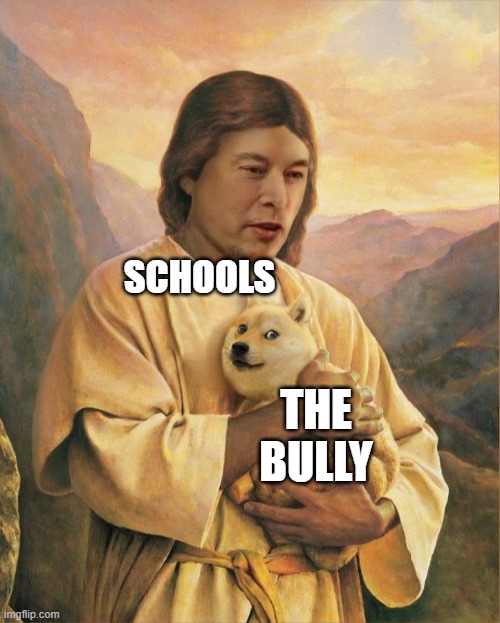 bruh | SCHOOLS; THE BULLY | image tagged in elon jesus holding doge | made w/ Imgflip meme maker