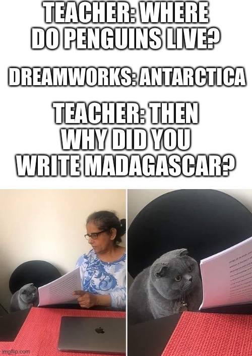 Smile and wave boys? | TEACHER: WHERE DO PENGUINS LIVE? DREAMWORKS: ANTARCTICA; TEACHER: THEN WHY DID YOU WRITE MADAGASCAR? | image tagged in blank white template,woman showing paper to cat,penguins of madagascar,funny,memes,funny memes | made w/ Imgflip meme maker