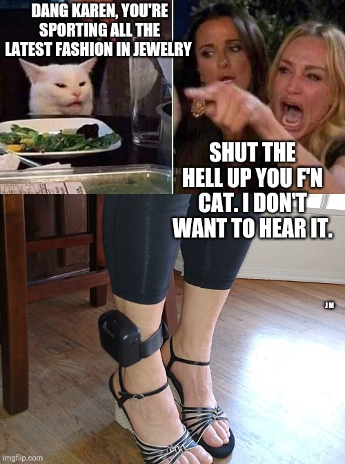 DANG KAREN, YOU'RE SPORTING ALL THE LATEST FASHION IN JEWELRY; SHUT THE HELL UP YOU F'N CAT. I DON'T WANT TO HEAR IT. J M | image tagged in reverse smudge and karen | made w/ Imgflip meme maker