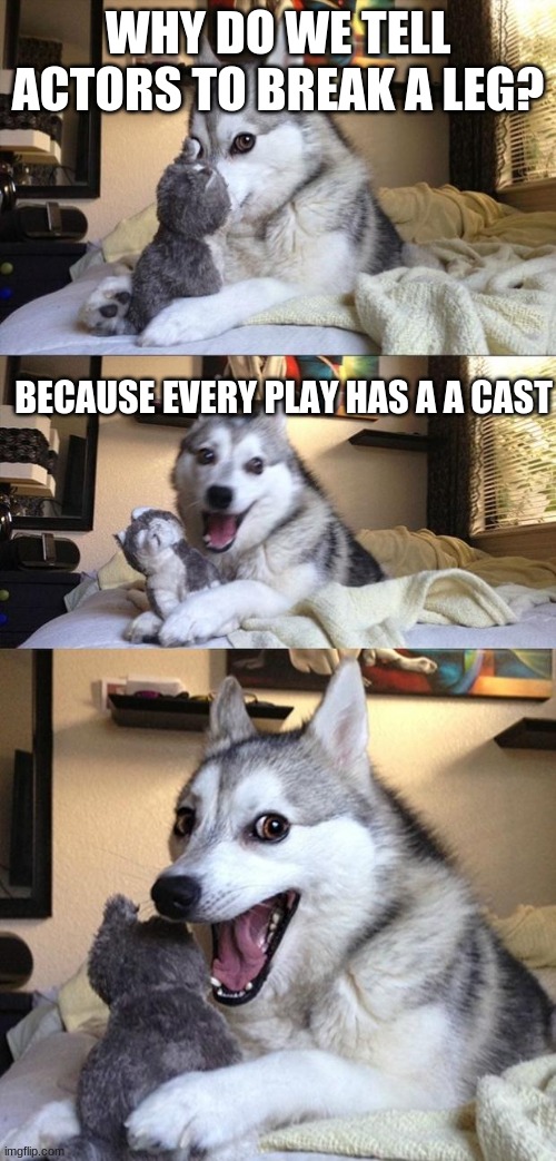 Bad Joke Dog | WHY DO WE TELL ACTORS TO BREAK A LEG? BECAUSE EVERY PLAY HAS A CAST | image tagged in bad joke dog | made w/ Imgflip meme maker