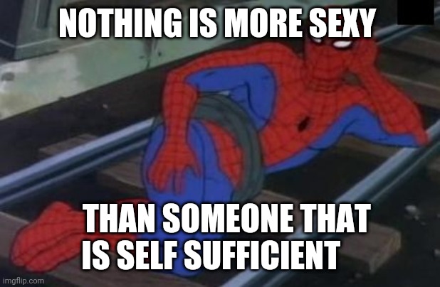 Sexy Railroad Spiderman |  NOTHING IS MORE SEXY; THAN SOMEONE THAT IS SELF SUFFICIENT | image tagged in memes,sexy railroad spiderman,spiderman | made w/ Imgflip meme maker