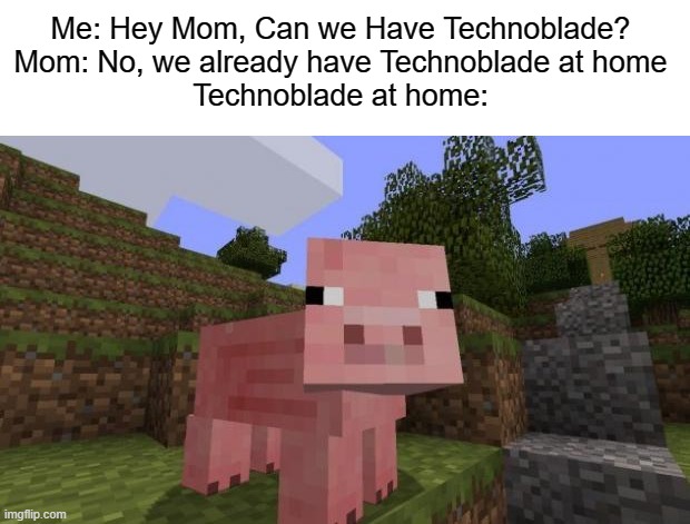 Bad Joke, Right? | Me: Hey Mom, Can we Have Technoblade?
Mom: No, we already have Technoblade at home
Technoblade at home: | image tagged in minecraft pig | made w/ Imgflip meme maker