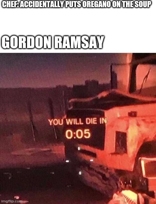 You will die in 0:05 | CHEF: ACCIDENTALLY PUTS OREGANO ON THE SOUP; GORDON RAMSAY | image tagged in you will die in 0 05 | made w/ Imgflip meme maker