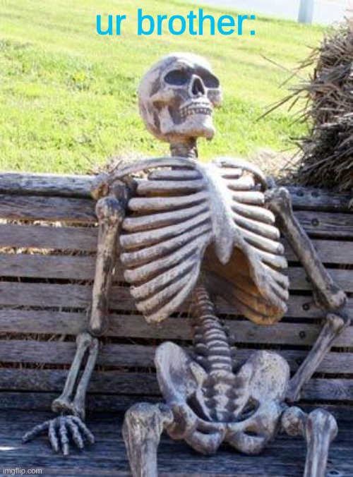 Waiting Skeleton Meme | ur brother: | image tagged in memes,waiting skeleton | made w/ Imgflip meme maker