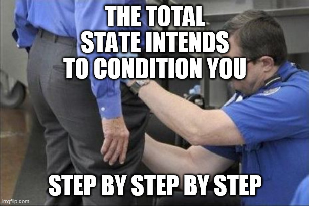 tsa security pat down | THE TOTAL STATE INTENDS TO CONDITION YOU STEP BY STEP BY STEP | image tagged in tsa security pat down | made w/ Imgflip meme maker