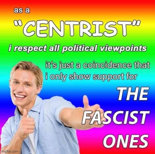 hmm yes the centrist is made of fascist | image tagged in centrist fascist,politics,politics lol,hmmm,hmm,fascist | made w/ Imgflip meme maker