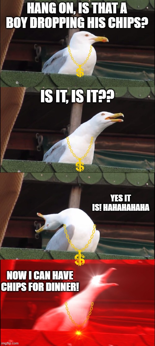 All seagulls be like: | HANG ON, IS THAT A BOY DROPPING HIS CHIPS? IS IT, IS IT?? YES IT IS! HAHAHAHAHA; NOW I CAN HAVE CHIPS FOR DINNER! | image tagged in memes,inhaling seagull | made w/ Imgflip meme maker