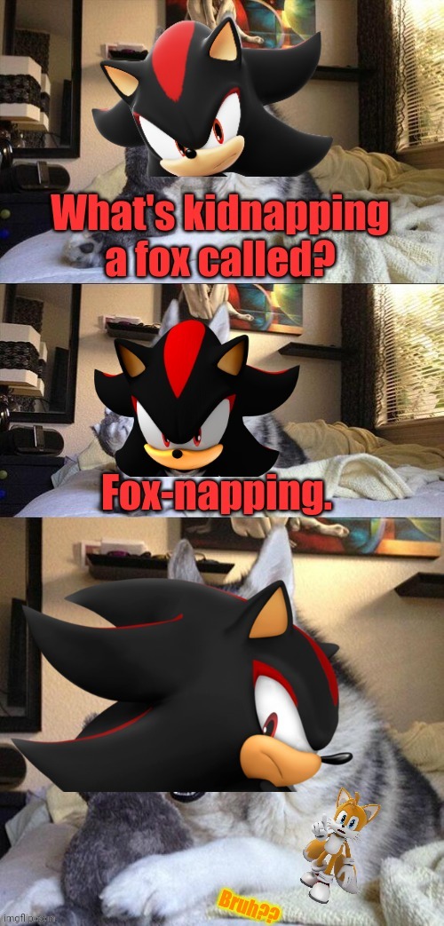 I guess fox-napping exists, but what about rabbit-napping..? Guess Cream wants to find out? | image tagged in bad pun dog,shadow the hedgehog,tails the fox,e,oh wow are you actually reading these tags | made w/ Imgflip meme maker