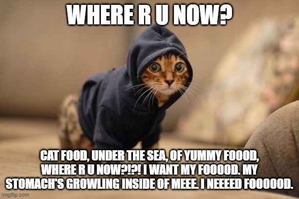 Hoody Cat | WHERE R U NOW? CAT FOOD, UNDER THE SEA, OF YUMMY FOOOD, WHERE R U NOW?!?! I WANT MY FOOOOD. MY STOMACH'S GROWLING INSIDE OF MEEE. I NEEEED FOOOOOD. | image tagged in memes,hoody cat | made w/ Imgflip meme maker
