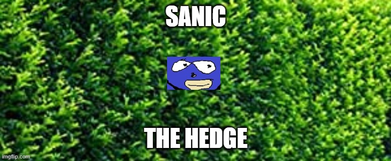sanic the hedge :) | SANIC; THE HEDGE | image tagged in this is a tag | made w/ Imgflip meme maker