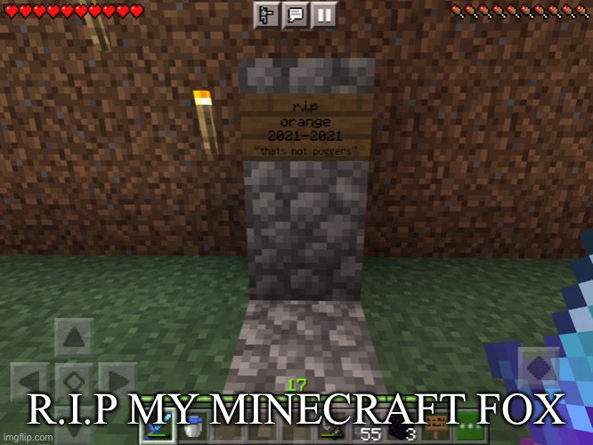 Not poggers | R.I.P MY MINECRAFT FOX | image tagged in poggers,sad,fox,minecraft,funeral | made w/ Imgflip meme maker