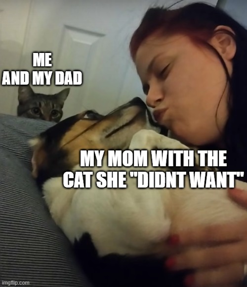 My mom and my cat | ME AND MY DAD; MY MOM WITH THE CAT SHE "DIDNT WANT" | image tagged in memes | made w/ Imgflip meme maker