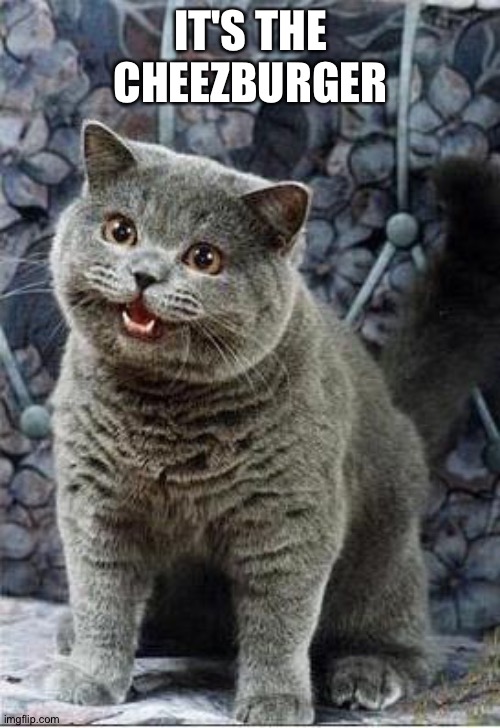 I can has cheezburger cat | IT'S THE CHEEZBURGER | image tagged in i can has cheezburger cat | made w/ Imgflip meme maker
