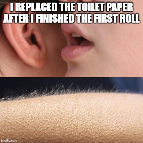 Whisper and Goosebumps | I REPLACED THE TOILET PAPER AFTER I FINISHED THE FIRST ROLL | image tagged in whisper and goosebumps | made w/ Imgflip meme maker