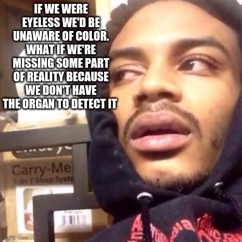 Shower thoughts# 19 | IF WE WERE EYELESS WE'D BE UNAWARE OF COLOR. WHAT IF WE'RE MISSING SOME PART OF REALITY BECAUSE WE DON'T HAVE THE ORGAN TO DETECT IT | image tagged in coffee enema high thoughts | made w/ Imgflip meme maker
