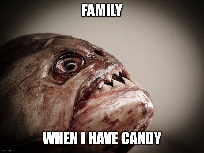 Pirhana | FAMILY; WHEN I HAVE CANDY | image tagged in treats,family,mine | made w/ Imgflip meme maker
