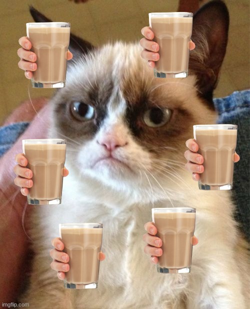 choccy milk be like: | image tagged in memes,grumpy cat | made w/ Imgflip meme maker