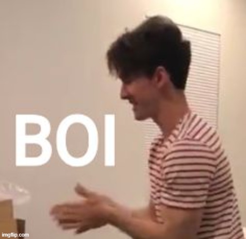 Flamingo boi | image tagged in flamingo boi | made w/ Imgflip meme maker