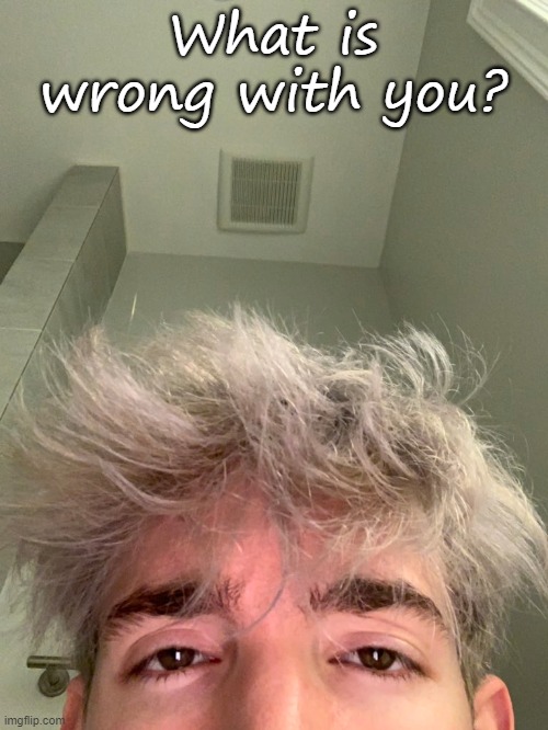 What is wrong with you? | made w/ Imgflip meme maker