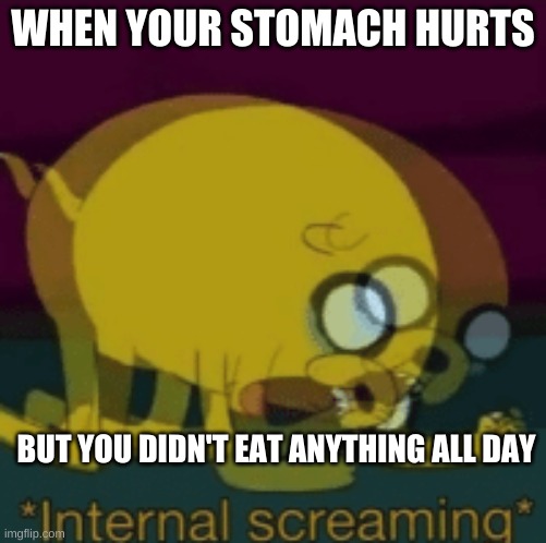 Jake The Dog Internal Screaming | WHEN YOUR STOMACH HURTS; BUT YOU DIDN'T EAT ANYTHING ALL DAY | image tagged in jake the dog internal screaming | made w/ Imgflip meme maker