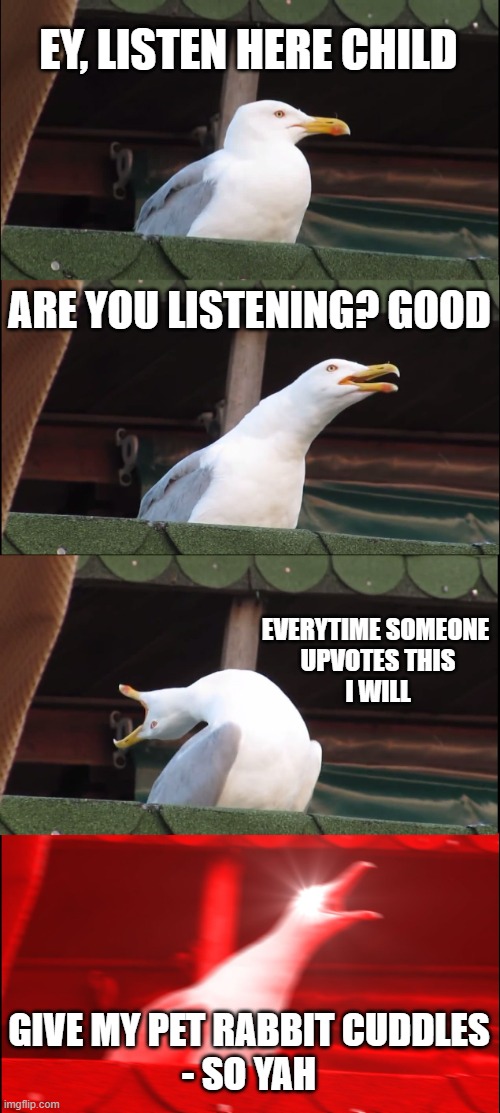 seriously people I'm running outta ideas -_- | EY, LISTEN HERE CHILD; ARE YOU LISTENING? GOOD; EVERYTIME SOMEONE 
UPVOTES THIS
I WILL; GIVE MY PET RABBIT CUDDLES
- SO YAH | image tagged in memes,inhaling seagull | made w/ Imgflip meme maker