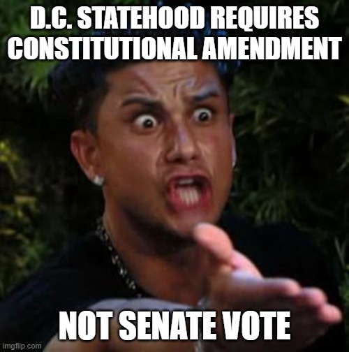 D.C. Statehood Requires Constitutional Amendment, Not Senate Vote. | D.C. STATEHOOD REQUIRES CONSTITUTIONAL AMENDMENT; NOT SENATE VOTE | image tagged in wtf | made w/ Imgflip meme maker
