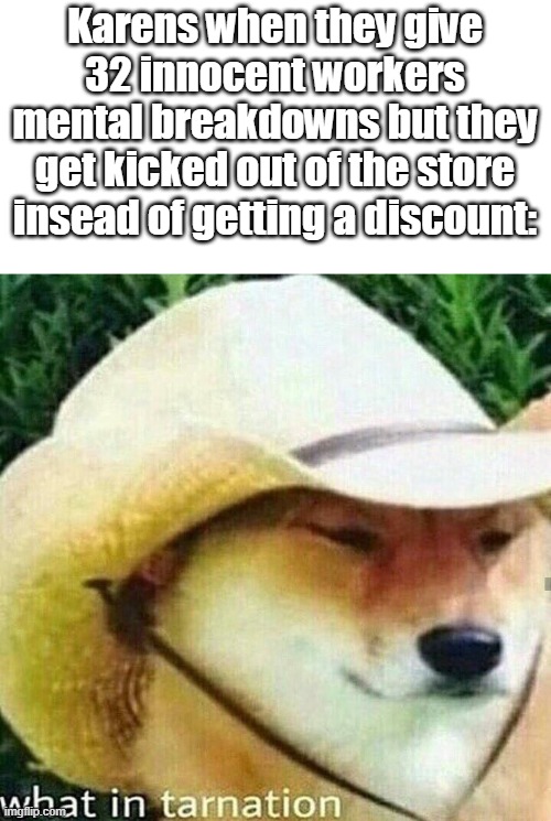 karens, stay away from this meme's comment section |  Karens when they give 32 innocent workers mental breakdowns but they get kicked out of the store insead of getting a discount: | image tagged in what in tarnation dog | made w/ Imgflip meme maker