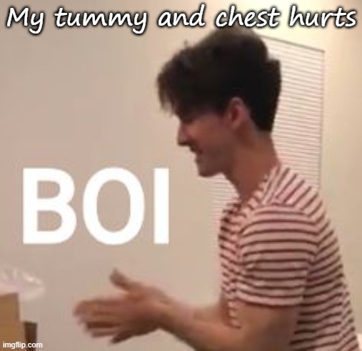 Flamingo boi | My tummy and chest hurts | image tagged in flamingo boi | made w/ Imgflip meme maker