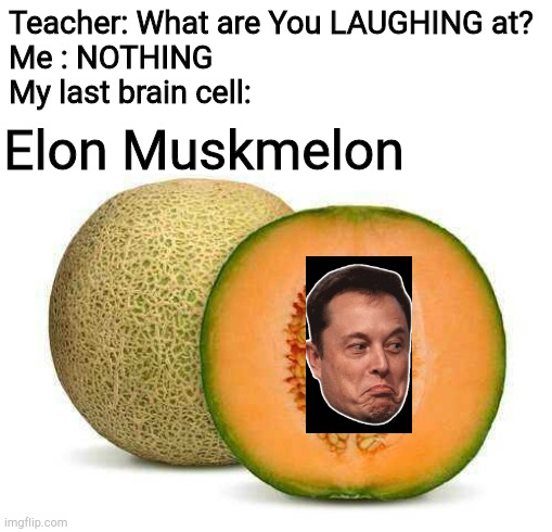 Teacher: What are You LAUGHING at?
Me : NOTHING
My last brain cell:; Elon Muskmelon | image tagged in memes,elon musk | made w/ Imgflip meme maker