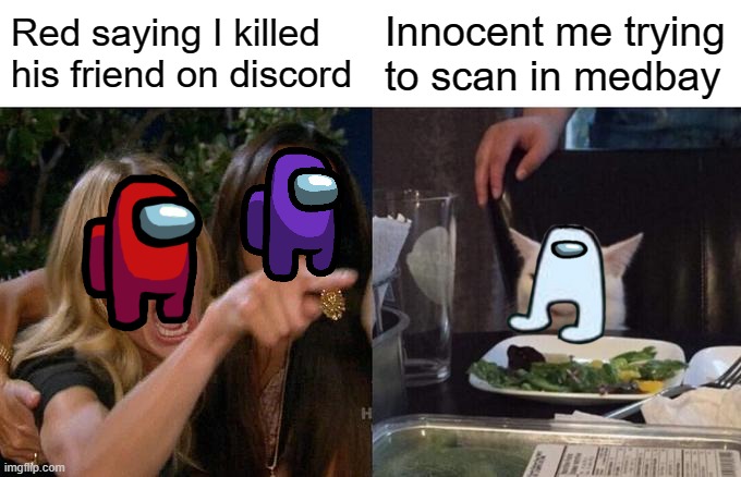 Annoying right? | Red saying I killed his friend on discord; Innocent me trying to scan in medbay | image tagged in memes,woman yelling at cat | made w/ Imgflip meme maker