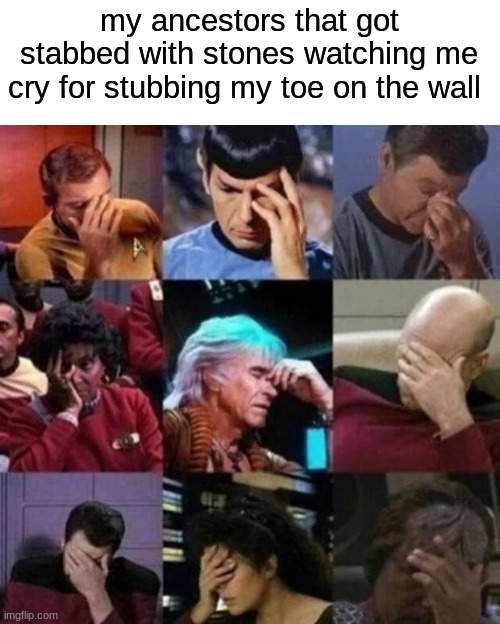 star trek face palm | my ancestors that got stabbed with stones watching me cry for stubbing my toe on the wall | image tagged in star trek face palm | made w/ Imgflip meme maker