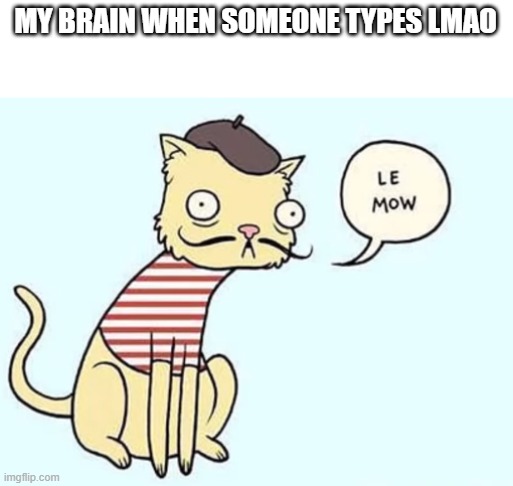 le mow | MY BRAIN WHEN SOMEONE TYPES LMAO | image tagged in le mow | made w/ Imgflip meme maker