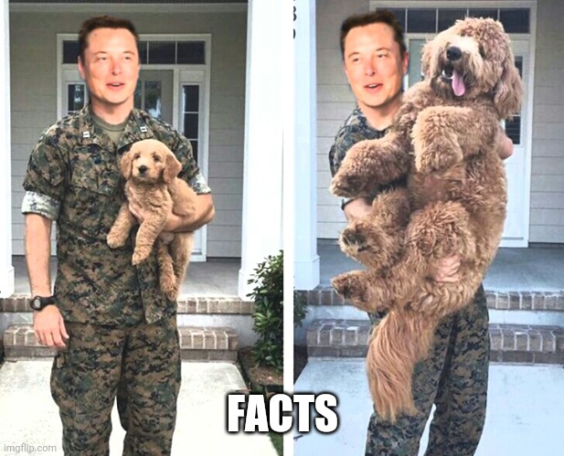 Doge coin and Elon musk | FACTS | image tagged in cryptocurrency | made w/ Imgflip meme maker
