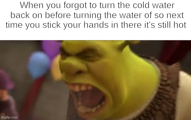 Sorry for the bad grammar i was rushing | When you forgot to turn the cold water back on before turning the water of so next time you stick your hands in there it's still hot | made w/ Imgflip meme maker