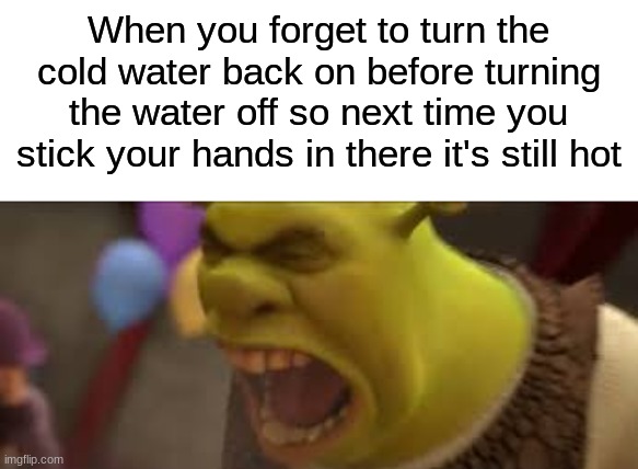 When you forget to turn the cold water back on before turning the water off so next time you stick your hands in there it's still hot | image tagged in funny,meme,hot | made w/ Imgflip meme maker