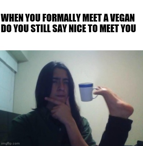 Brain at 2 am in the morning | WHEN YOU FORMALLY MEET A VEGAN DO YOU STILL SAY NICE TO MEET YOU | image tagged in blank white template | made w/ Imgflip meme maker