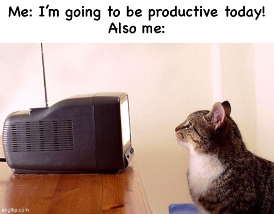 cat watching tv | Me: I’m going to be productive today!
Also me: | image tagged in cat watching tv | made w/ Imgflip meme maker