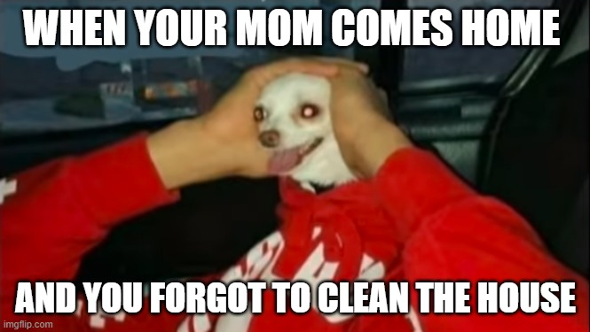 Oh nO | WHEN YOUR MOM COMES HOME; AND YOU FORGOT TO CLEAN THE HOUSE | image tagged in memes,doggo | made w/ Imgflip meme maker