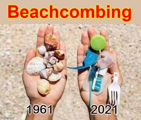 Beachcombing | Beachcombing; 1961           2021 | image tagged in plastic | made w/ Imgflip meme maker