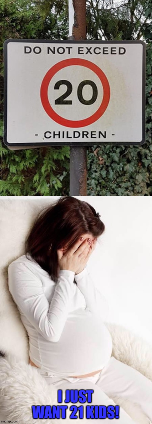 Awwwww---- | I JUST WANT 21 KIDS! | image tagged in pregnant hormonal,memes,funny,you had one job | made w/ Imgflip meme maker